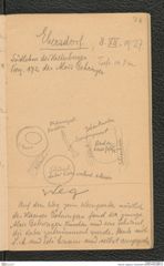 Seite 82, Tagebuch "Hankenfeld" (NHMW-PRAE-BBB-33)
